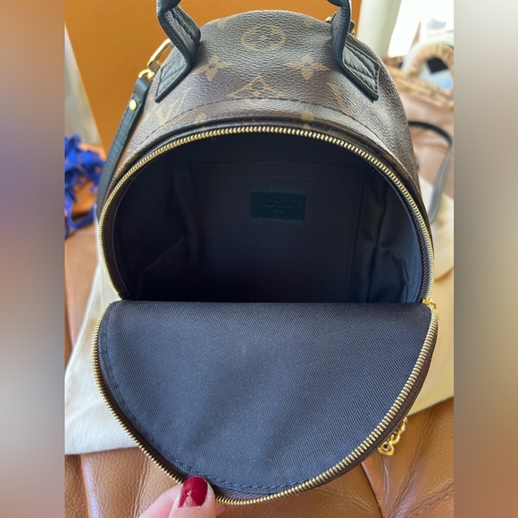 Louis Vuitton Palm Springs Mini - Picture 11 of 12